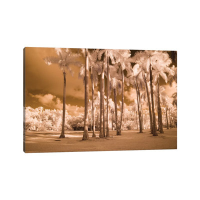 «Florida Palms» par Rig Studios - impression sur toile tendue