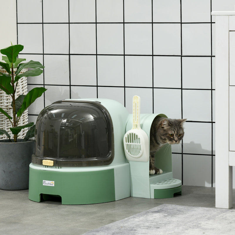 Cat Litter Box with Lid