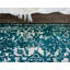Oriental Area Rug-799318745