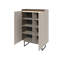 Allexys Standard Accent Cabinet