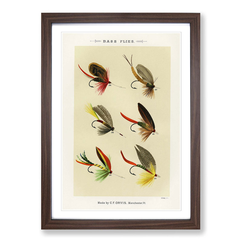 Bass Fishing Flies Versions 7 by Mary Orvis Marbury - Picture Frame Painting Print, 48cm H x 36cm W x 2cm D, Walnut Framed