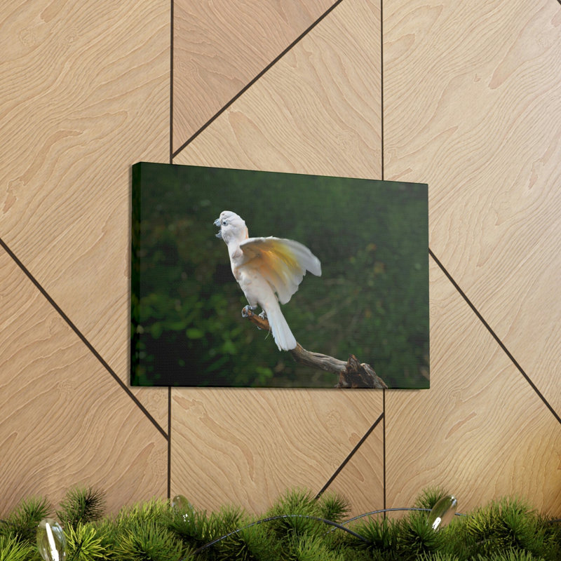 Art mural majestueux cacatoès, H 18 po x l 24 po