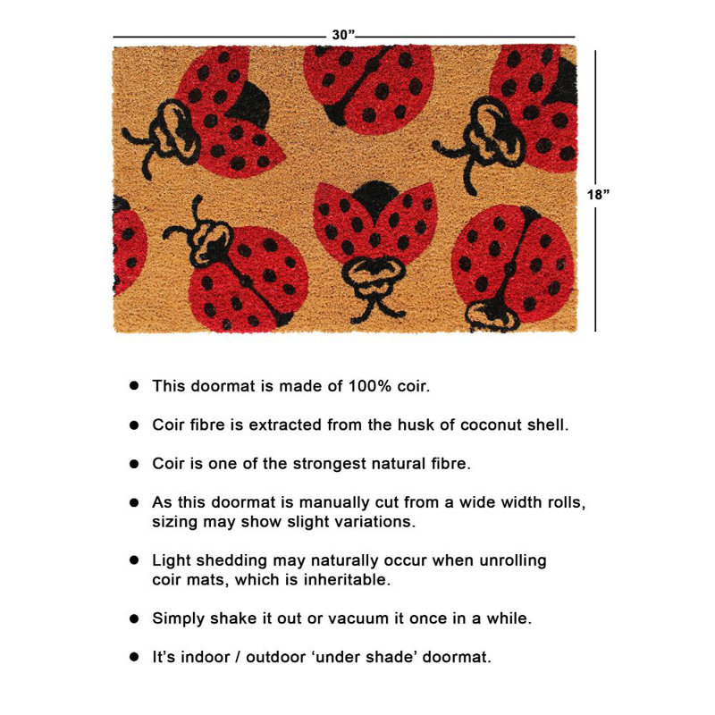 Paillasson intérieur antidérapant Lynell Lady Bug 30 po x 18 po