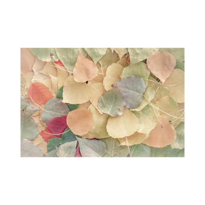 Fallen Leaves Creamy by Nik Rave - Wrapped Canvas Print, 66.04cm H x 101.6cm W x 1.91cm D