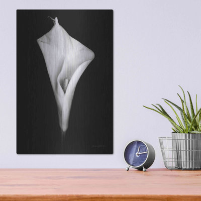 «Elegant Calla I» par Elise Catterall - Reproduction sans cadre sur métal