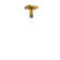 Riobel 3" Ceiling Mount Shower Arm