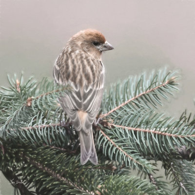 Spring Bird I