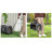 Pet Carrier with 2 Doors