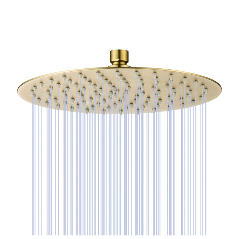 Rain Fixed Shower Head 2.5 GPM GPM, Brushed Gold
