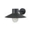 Ivy Dark Grey 22cm H Outdoor Barn Light
