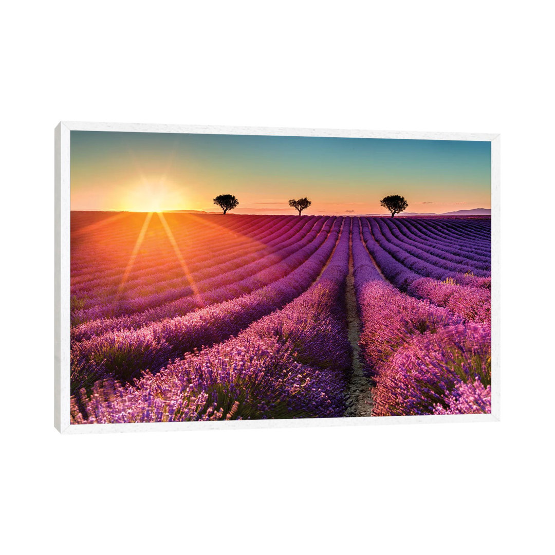 Plateau De Valensole Lavendelfeld Sonnenuntergang II von Susanne Kremer - Galerie-verpackte Leinwand Giclée