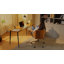 Fauteuil de bureau pivotant Daden-1171434799