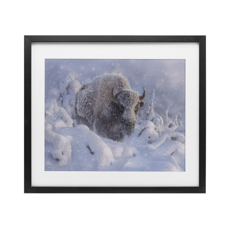 Bison d'hiver dans une profonde impression sous verre, design par Collin Bogle, H 13 po x l 16 po, Cadre noir minuit