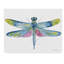 «Deagen» Dragonfly Bliss, reproduction d'art sur toile tendue 6 po-30361127
