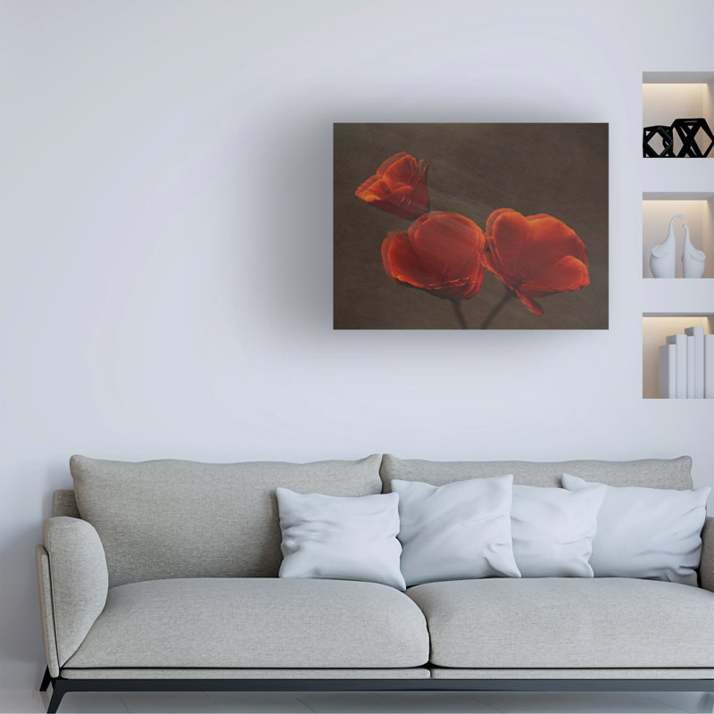 Art sur toile Coquelicots Jay Marik, H 14 po x l 19 po