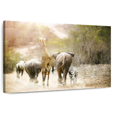 Safari Brampt Friends