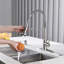 Robinet de cuisine rétractable avec accessoires FORIUS-76425216