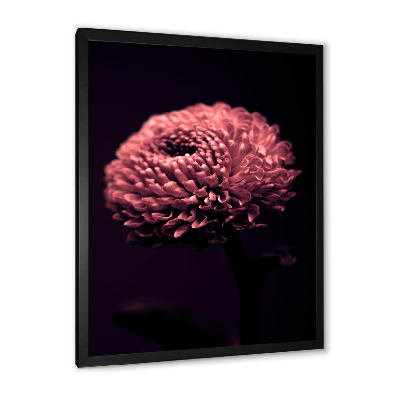 Décoration murale moderne toile bourgogne, Cadre photo noir, H 20 po x l 12 po x P 1 po