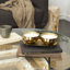 Bougie Astere-1482833788