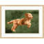 Playful Pups 4 Painting by Nathan Turner