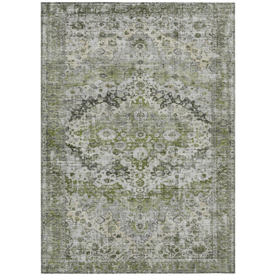 Machine Washable Indoor/Outdoor Xhevrie Aloe Rug