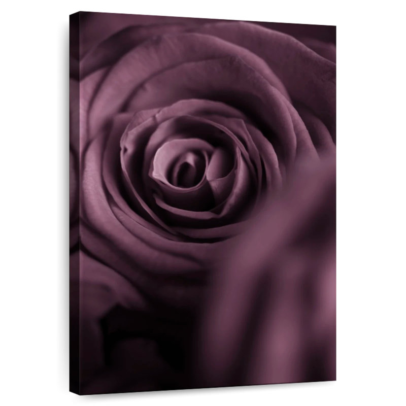 Harnek Deep Purple Rose I, 51" H x 34" W
