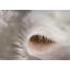 Shuler Solid Colour Shag Area Rug-38747456