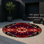 Tapis intérieur et extérieur Radiant Lyric