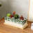 Wilbraham Ceramic Planter Box
