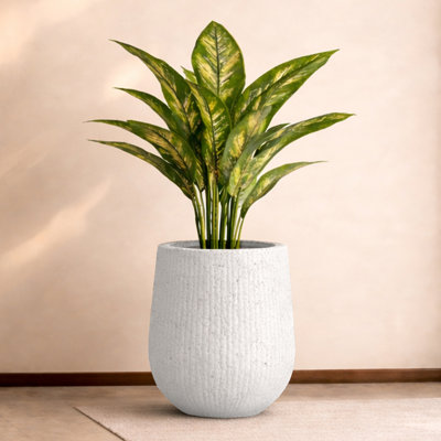  Pot à fleurs effilé Sereno Fiberstone (ouverture de pot de 14,6 po x P 19,7 po x H 21,7 po), pot à fleurs moderne pour l'intérieur et l'extérieur, léger, résistant aux fissures et minimaliste (L, blanc nervuré)
