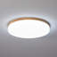 Trotman Acrylic LED Flush Mount