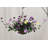 Petunia Hanging Basket Arrangement in Basket