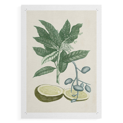 Buchoz Tropicals IV - Impression sur toile seulement - SANS CADRE