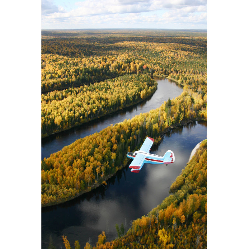 Airplane Over Forest - Wrapped Canvas Print, 91cm H x 61cm W x 3.8cm D