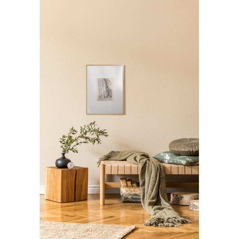 Three Tall Trees Print by Cornelis Steffelaar