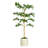     6.5 ft. Artificial Black Olive Shady Lady Tree in White Decor Pot