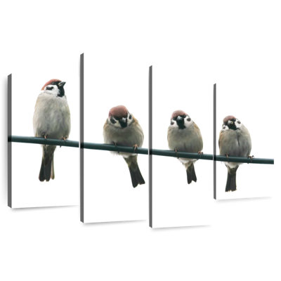 Petits oiseaux amies de Brampt