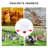 Chicken Drinking Cup 6 Pack