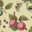 Berry Grove Wallpaper-749536644