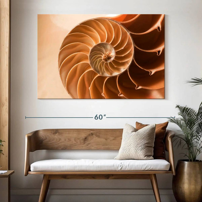 Aletra Nautilus Shell Inside, 34" H x 51" W