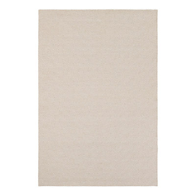 Traetyn Flatweave Wool Indoor Rug