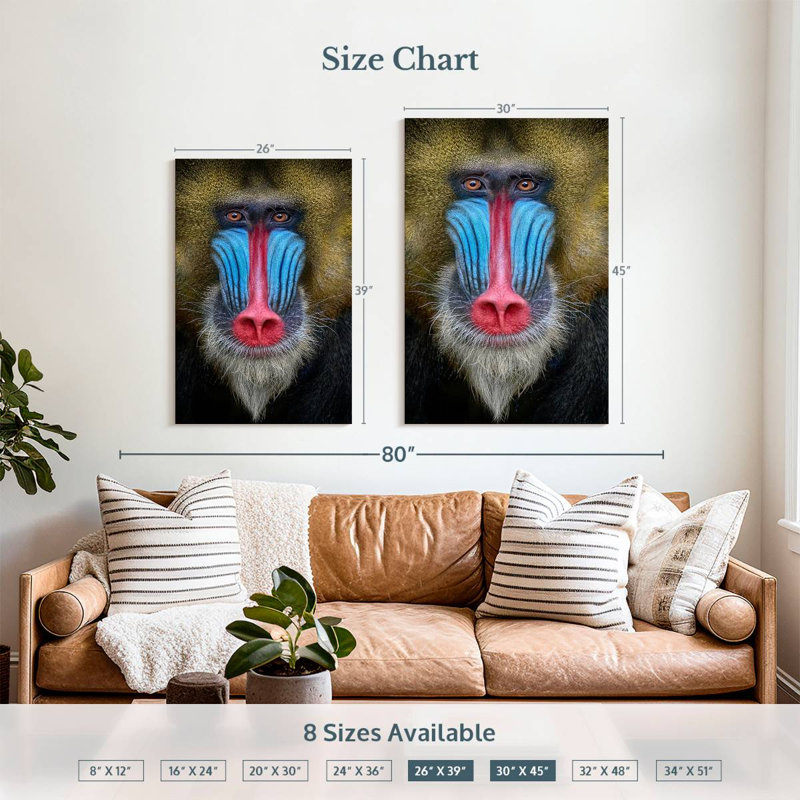 Brampt Mandrill Monkey, 39" H x 26" W