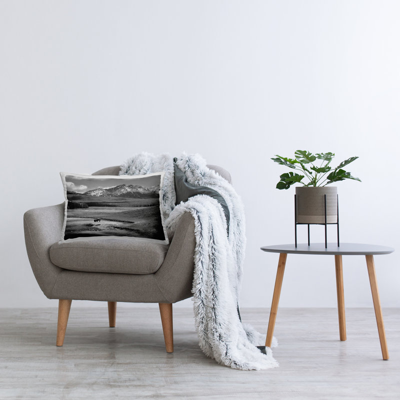  Polyester Throw Pillow