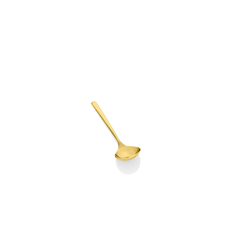 Linea Stainless Steel Ladle, Oro