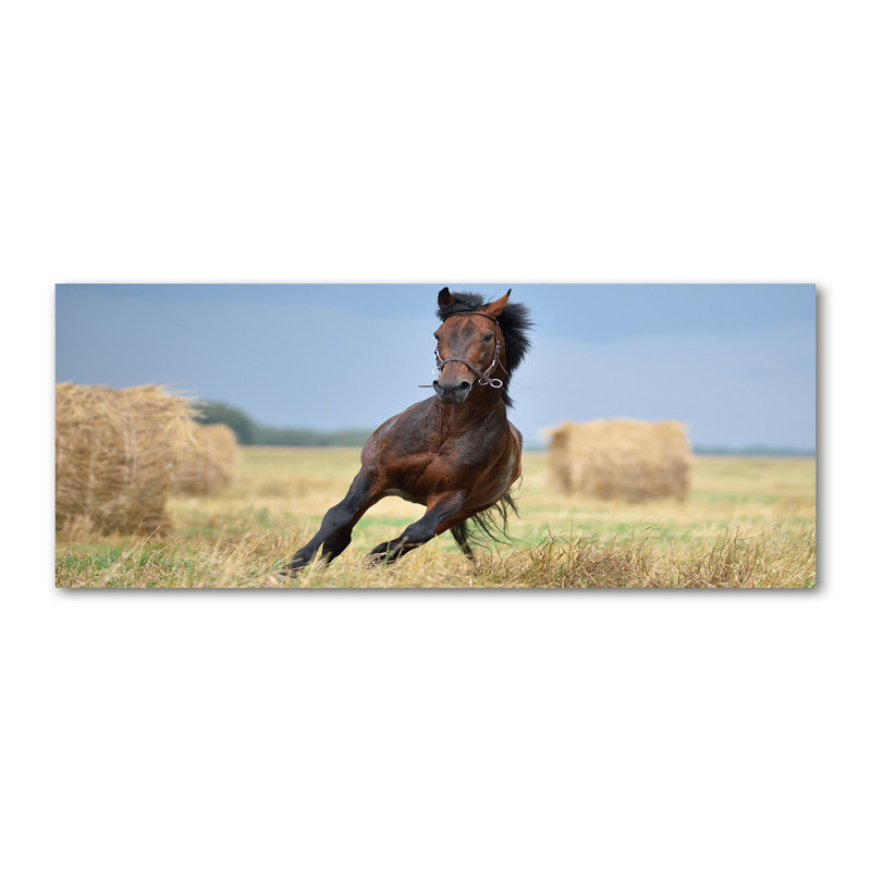 Horse In Gallop - No Frame Print on Canvas