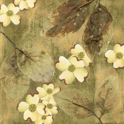 SunKissed Dogwoods II
