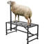 Adjustable Grooming Tub-2067604936-2067604937