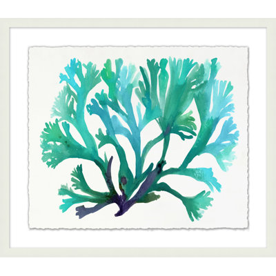 Transparaent Sea Life 2 Print