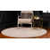 Rosamonde Abstract Indoor Rug