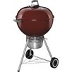 kettle charcoal grill